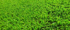 2 tipuri de gazon sintetic de la Hattrick Sport