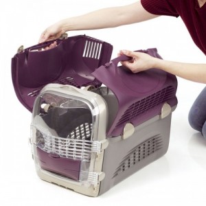 AnimalulFericit.ro. Top 5 custi transport caini1