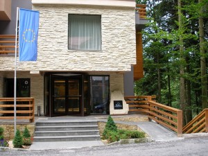 piatra naturala fasonata