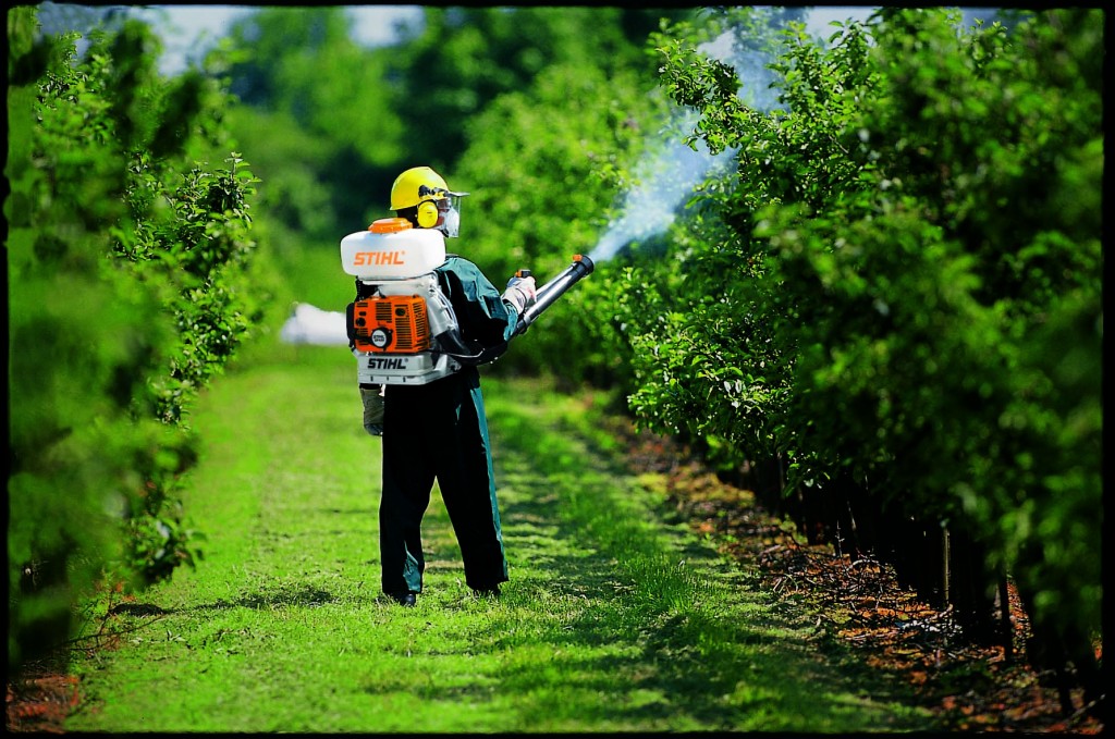 dezinsectie bucuresti