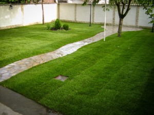 Cum ingrijesti gazonul realizat din rulouri de gazon