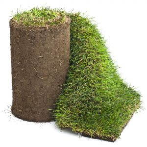 Cum ingrijesti gazonul realizat din rulouri de gazon1