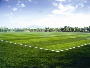 gazon_sintetic_fotbal_2