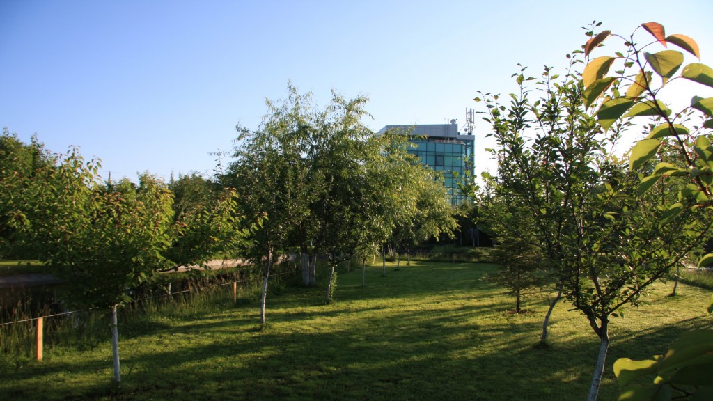 azil de batrani bucuresti