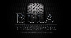 Cosmetica intretinere auto 