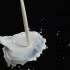 Pasteurizatoare pentru lapte – pentru a obtine un lapte sanatos