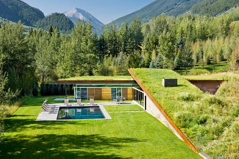 acoperis verde extensiv