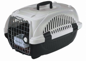 Cum alegi custi transport pisici