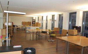 Mutari firme Sibiu – cu Professional Movers ajungi oriunde!