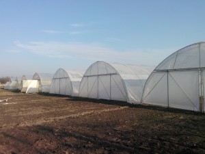 solar-8m-timis8