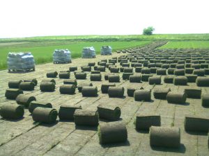 Productite gazon rulou 1