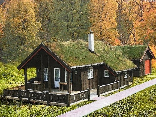 avantajele acoperisurilor verzi