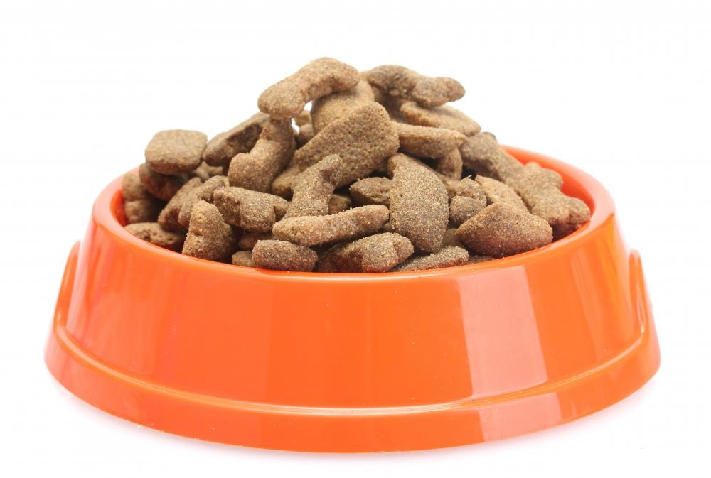 hrana uscata caini
