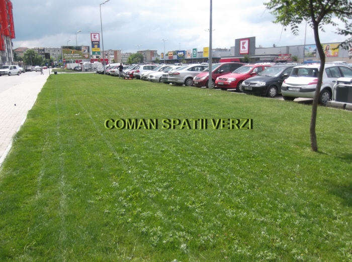 intretinere spatii verzi