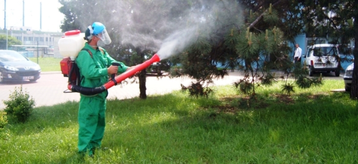 deratizare bucuresti